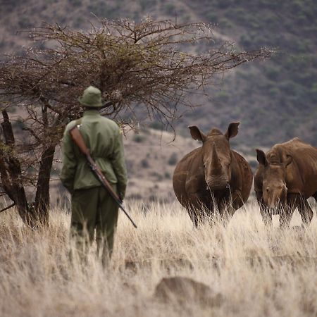 Elewana Lewa Safari Camp Hotel Timau Екстериор снимка