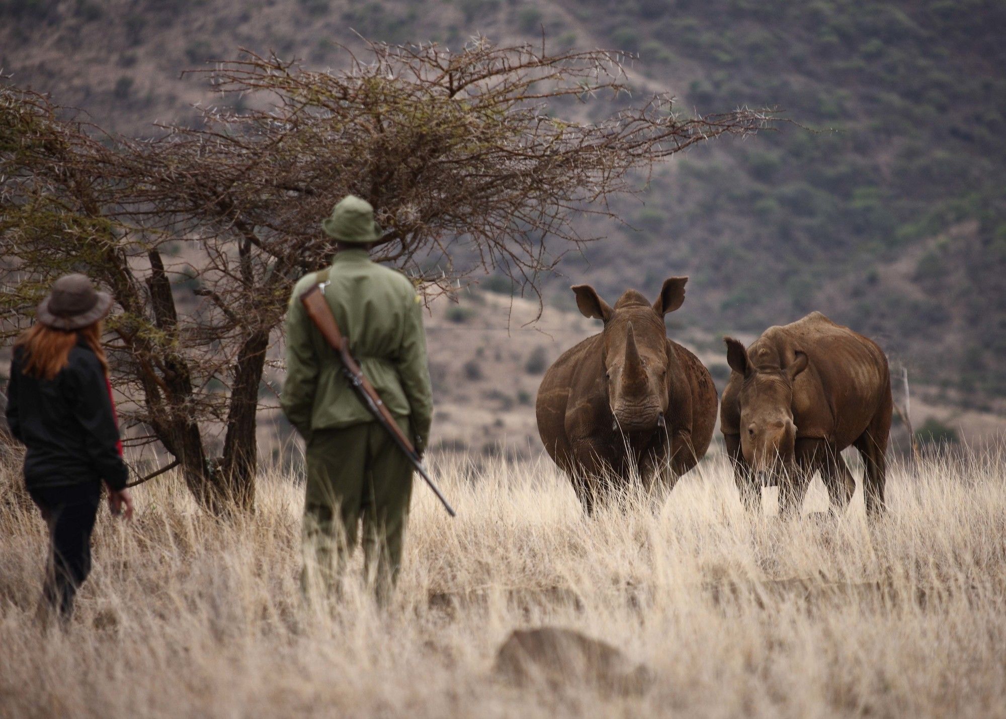 Elewana Lewa Safari Camp Hotel Timau Екстериор снимка
