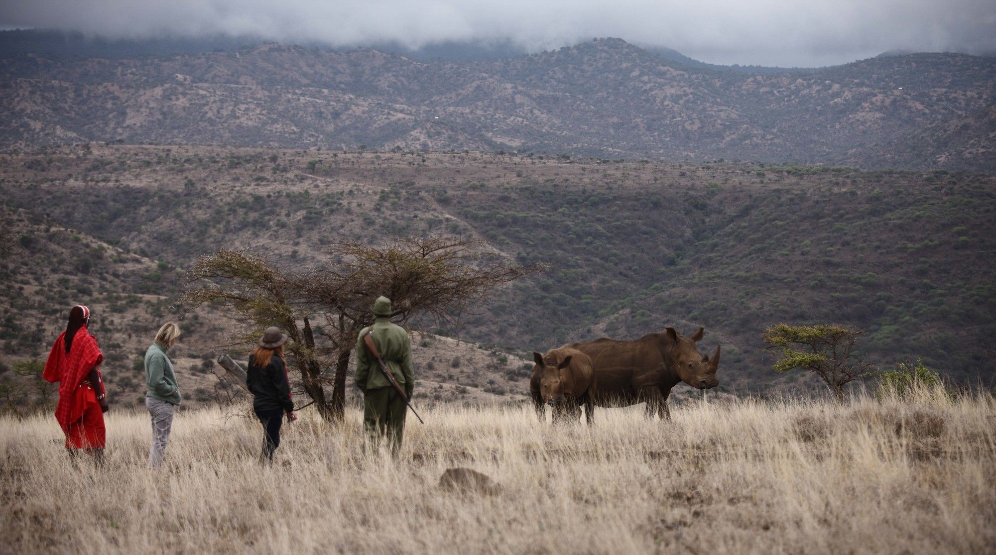 Elewana Lewa Safari Camp Hotel Timau Екстериор снимка