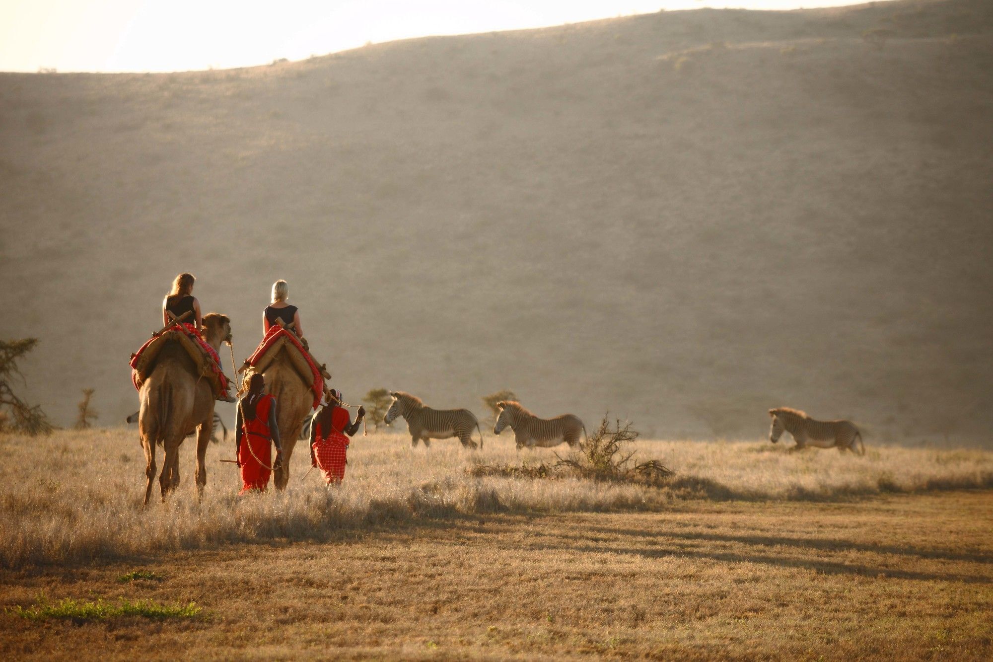 Elewana Lewa Safari Camp Hotel Timau Екстериор снимка