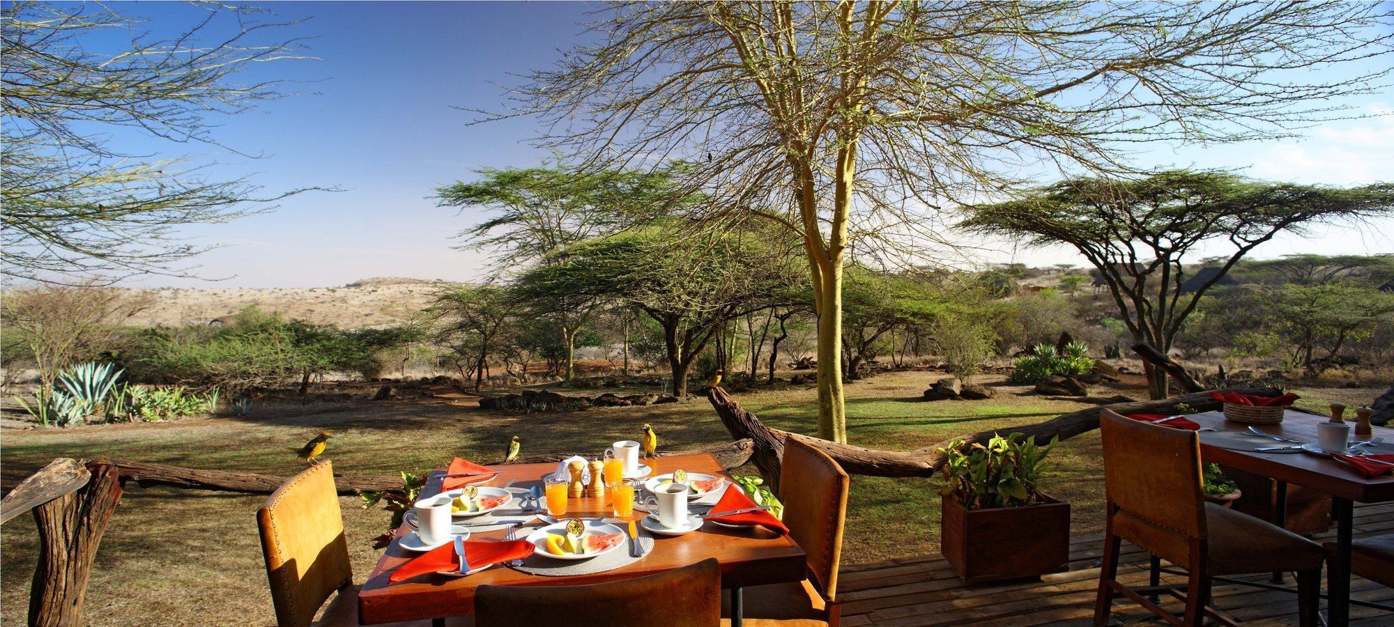Elewana Lewa Safari Camp Hotel Timau Екстериор снимка